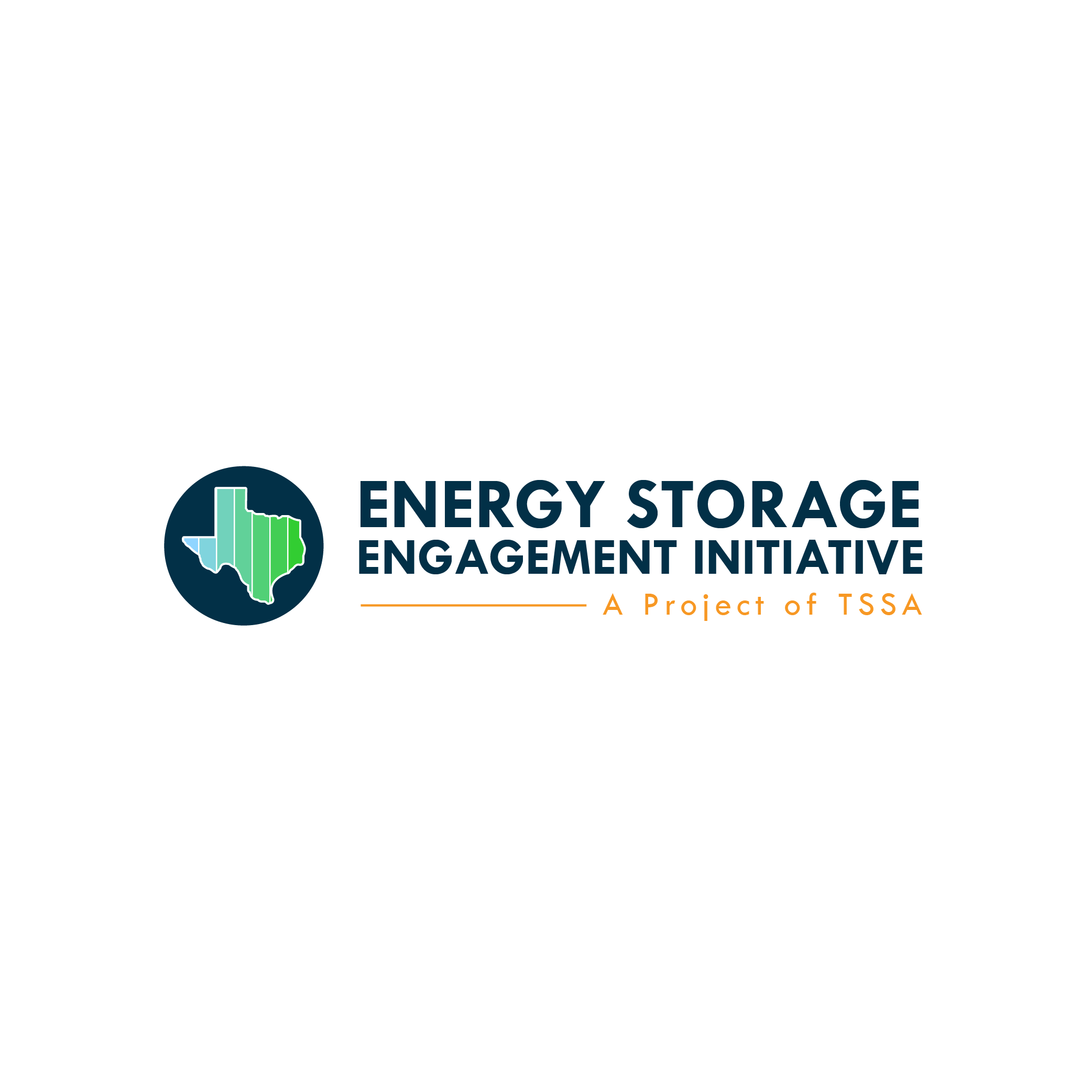 Energy Storage Engagement Initiative